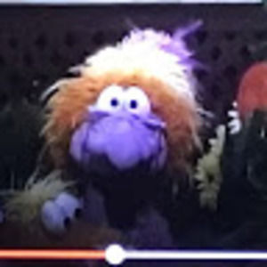 Meet your Posher, Bina13